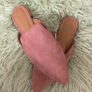 BOGO Half Off Beautiful Shoes From A New Day